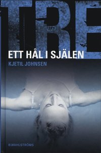 Ett h�l i sj�len (inbunden)