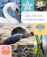 Min f�rsta strandkantsbok (inbunden)