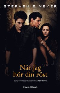 N�r jag h�r din r�st (inbunden)