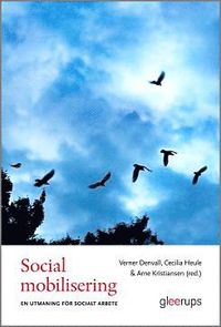 Social mobilisering (inbunden)