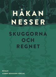 Skuggorna och regnet (e-bok)