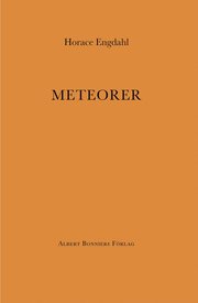 Meteorer (e-bok)