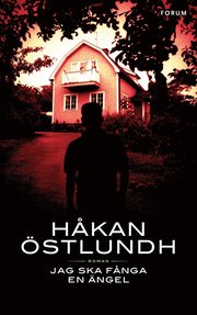 Jag ska f�nga en �ngel (e-bok)