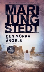 Den m�rka �ngeln (e-bok)