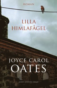 Lilla himlaf�gel (e-bok)