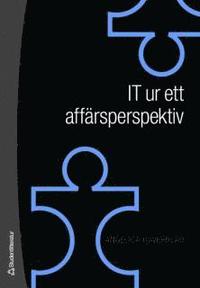 IT ur ett aff�rsperspektiv (h�ftad)