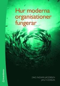 Hur moderna organisationer fungerar (h�ftad)