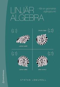 Linj�r algebra : fr�n en geometrisk utg�ngspunkt (h�ftad)