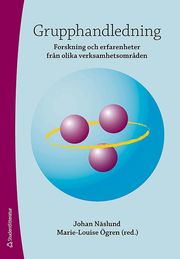 Grupphandledning : forskning och erfarenheter fr�n olika verksamhetsomr�den (h�ftad)