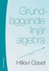 Grundl�ggande linj�r algebra