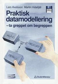 Praktisk Datamodellering : Ta Greppet Om Begreppen (h�ftad)