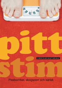 Pittstim : 15 ber�ttelser om att vara kille (h�ftad)
