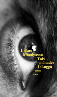 Tolv m�nader i skugga (h�ftad)