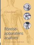 R�relseapparatens anatomi