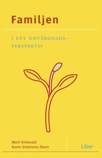Familjen i ett omv�rdnadsperspektiv (h�ftad)