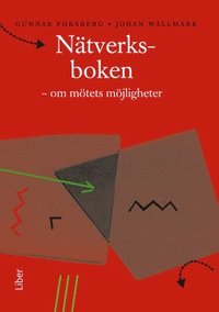 N�tverksboken: - om m�tets m�jligheter (h�ftad)