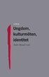 Ungdom, kulturm�ten, identitet