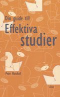 Din guide till effektiva studier (h�ftad)