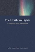 Northern Lights : Organization Theory In Scandinavia (h�ftad)