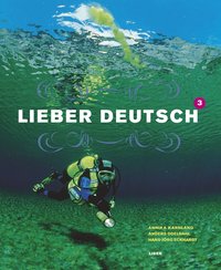 Lieber Deutsch 3