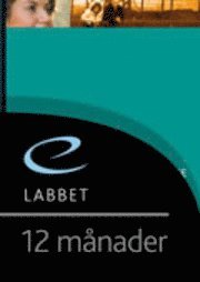 F�rst� socialt arbete eLabb 12 m�n