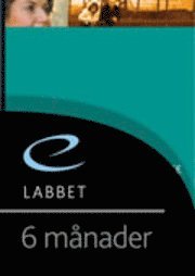 F�rst� socialt arbete eLabb 6 m�n