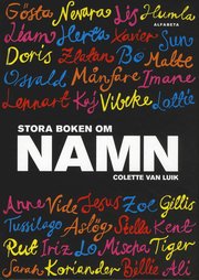 Stora boken om namn (inbunden)
