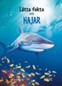 L�tta fakta om hajar