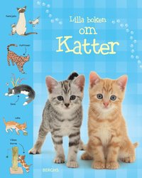 Lilla boken om katter (inbunden)