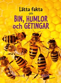 Lätta fakta om bin, humlor och  getingar (inbunden)