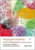 Pedagogisk utredning och kartlggning, 4 uppl : Att analysera och bedma elevers behov av srskilt std