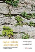 Socialt arbete i ldreomsorg : professionell handlggning i teori och praktik