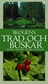 Skogens tr�d och buskar