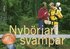 Nyb�rjarsvampar