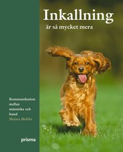 Inkallning �r s� mycket mera (kartonnage)