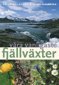V�ra vanligaste fj�llv�xter (h�ftad)