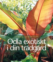 Odla exotiskt i din tr�dg�rd (inbunden)