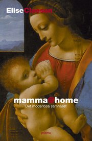 mamma@home : det moderl�sa samh�llet (inbunden)