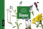 Blommor (kartonnage)