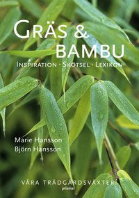 Gr�s & bambu : v�ra tr�dg�rdsv�xter