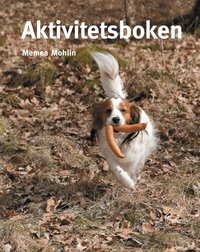 Aktivitetsboken (kartonnage)