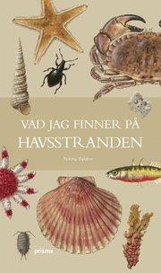 Vad jag finner p� havsstranden (inbunden)