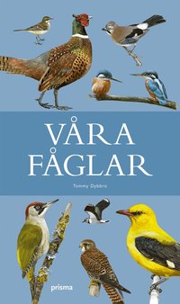 V�ra f�glar (inbunden)
