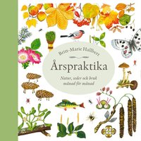 �rspraktika : natur, seder och bruk m�nad f�r m�nad (inbunden)