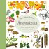 �rspraktika : natur, seder och bruk m�nad f�r m�nad