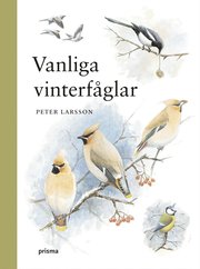Vanliga vinterf�glar (kartonnage)