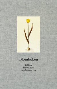 Blomboken : bilder ur Olof Rudbecks stora botaniska verk (inbunden)