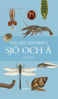 Vad jag finner i sj� och � (inbunden)