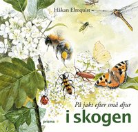 P� jakt efter sm� djur i skogen (kartonnage)