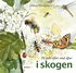P� jakt efter sm� djur i skogen